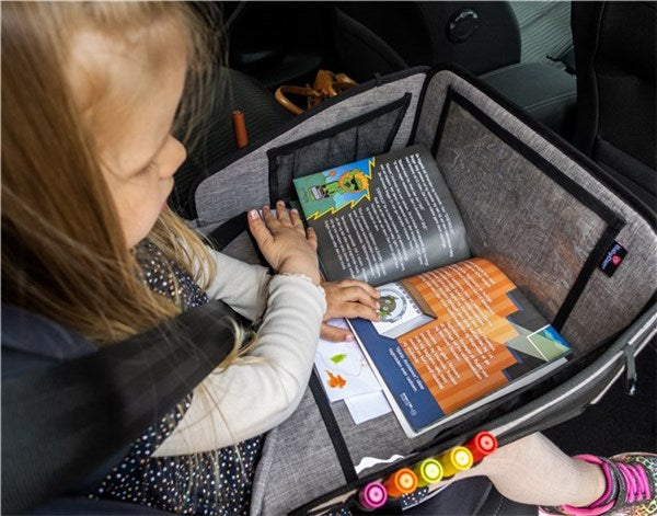BabyDan - Back Seat Mirror with LED light