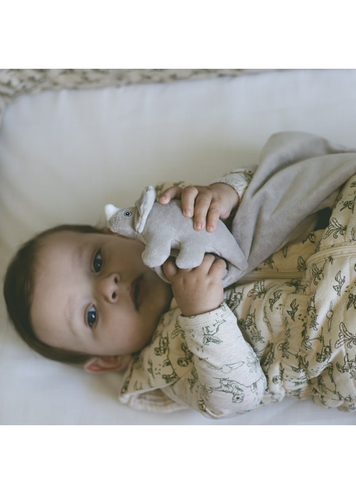 That's mine - Jacob cuddle cloth - Dino